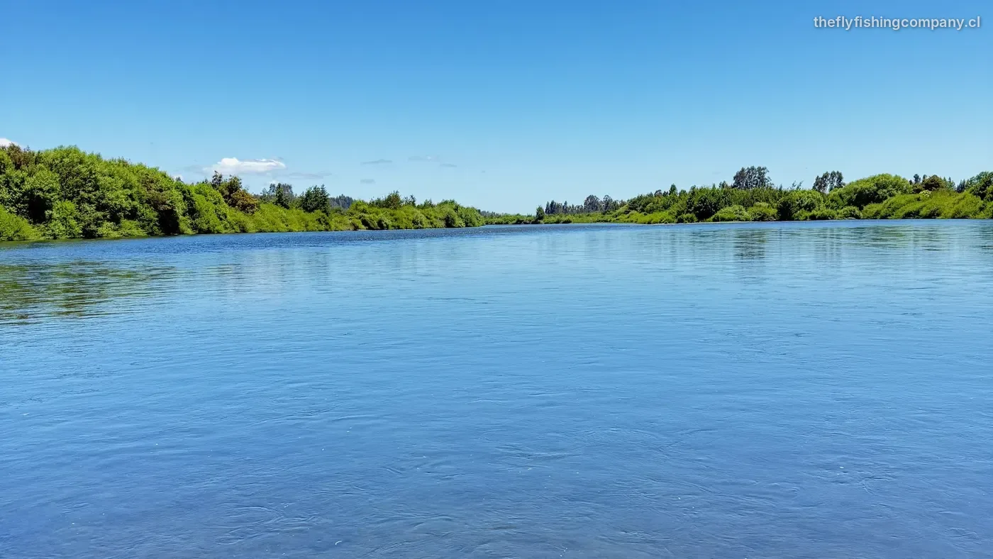 Río Cautín, tramo bajo, La Araucanía, Chile