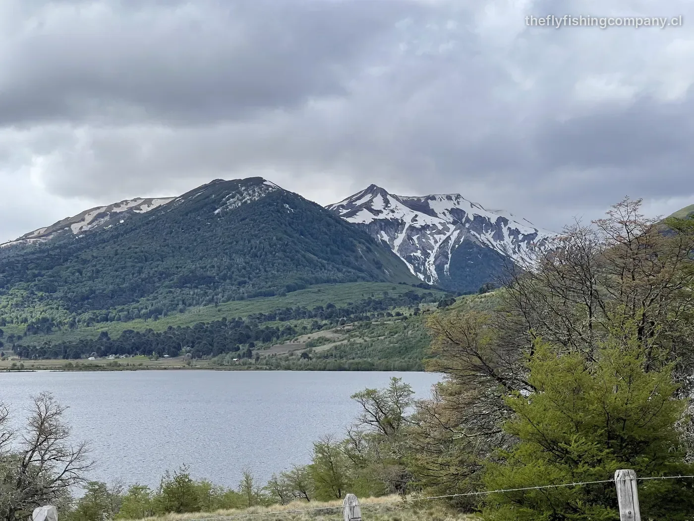 Laguna Galletué, La Araucanía, Chile