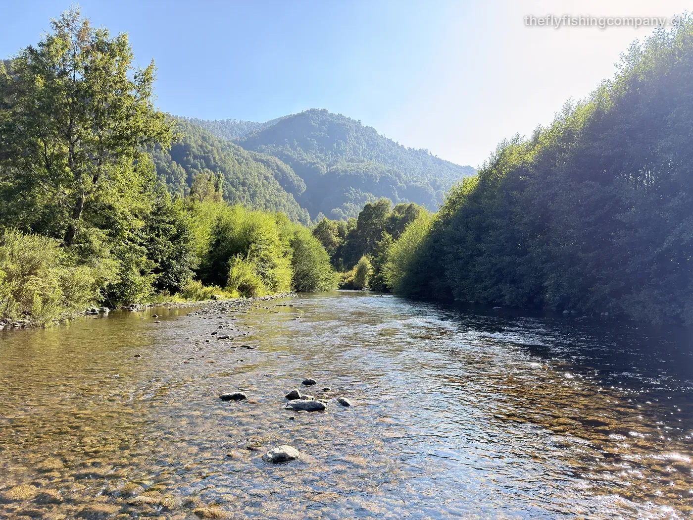 Río Liucura, tramo alto, La Araucanía, Chile